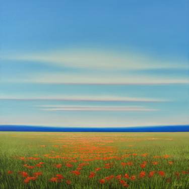 Field of Poppies - Blue Sky Landscape thumb