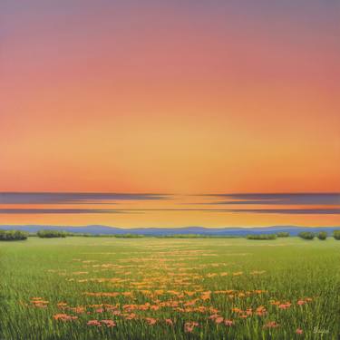 Field of Spring Flowers - Colorful Landscape thumb