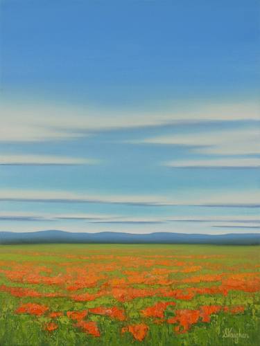 Abundant Poppies - Blue Sky Flower Field thumb