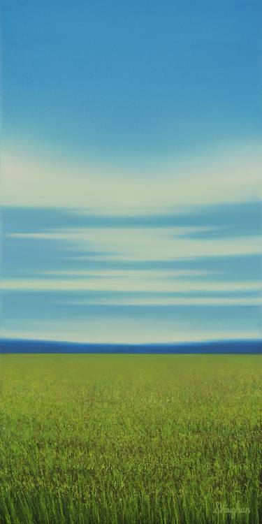 Grassy Meadow - Blue Sky Landscape image