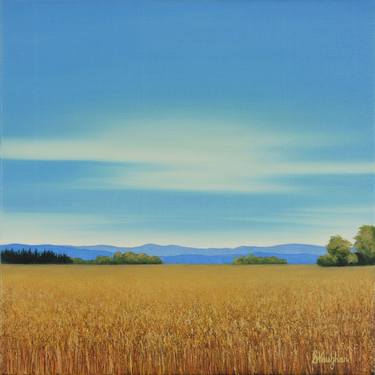 Summer Wheat Field - Blue Sky Landscape thumb