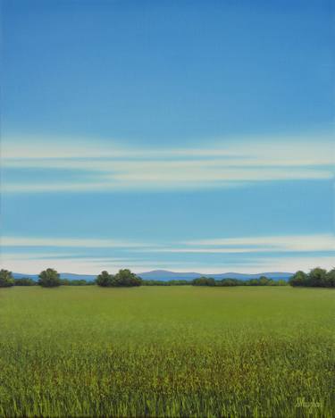Lush Grass - Blue Sky Landscape thumb
