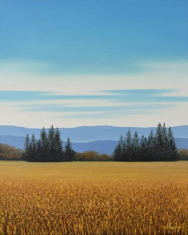 Original Contemporary Landscape Paintings by Suzanne Vaughan