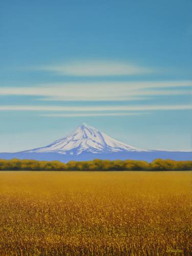 Original Contemporary Landscape Paintings by Suzanne Vaughan