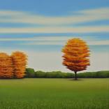 Collection Curator’s Choice: Best of Fall