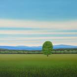Countryside Field - Blue Sky by Suzanne Vaughan