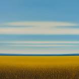 Golden Field - Blue Sky by Suzanne Vaughan