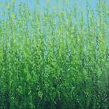 Fresh Spring Green - Color Field by Suzanne Vaughan