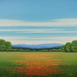 Blue Sky Poppies - Flower Field by Suzanne Vaughan