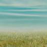 Summer Grass detail view