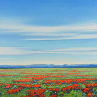 Spring Poppy Field - Blue Sky Landscape thumb