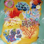 Coral Skin by Carole Keegan