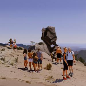 The Pilgrims