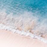 Collection Trending Now: Abstracts