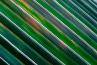 Original Abstract Expressionism Abstract Photography by Lukas Griffin
