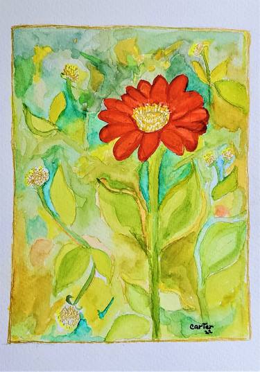Original Botanic Paintings by Sherry Carter