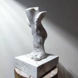 The foot of Hermes. by Achille Chiarello