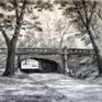view additional image 1