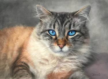 Your Majesty. Pastel portrait of a cat thumb