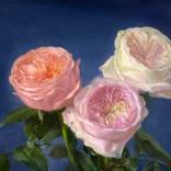 Delightful Tricolor Framed by Yana Golikova