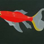 fish 2 by Antoni Janusz Wojnarowski
