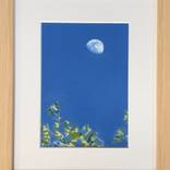 Backyard Moon with Tree - Summer Day by Janelle W Anderson