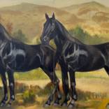 Alpha & Omega by Janelle W Anderson