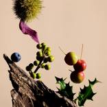 My Garden / Early Autumn by Paloma Rincón Rodriguez