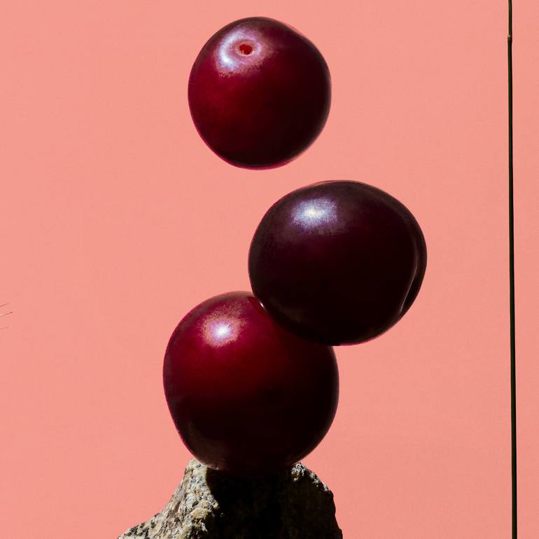 Original Conceptual Floral Photography by Paloma Rincón Rodriguez