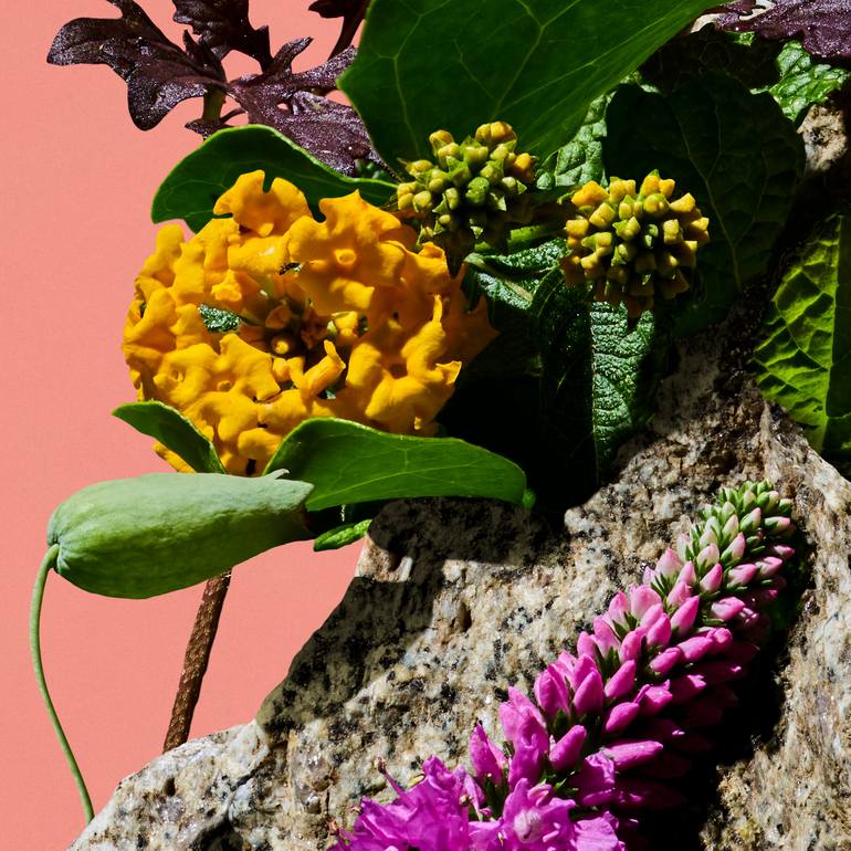 Original Conceptual Floral Photography by Paloma Rincón Rodriguez