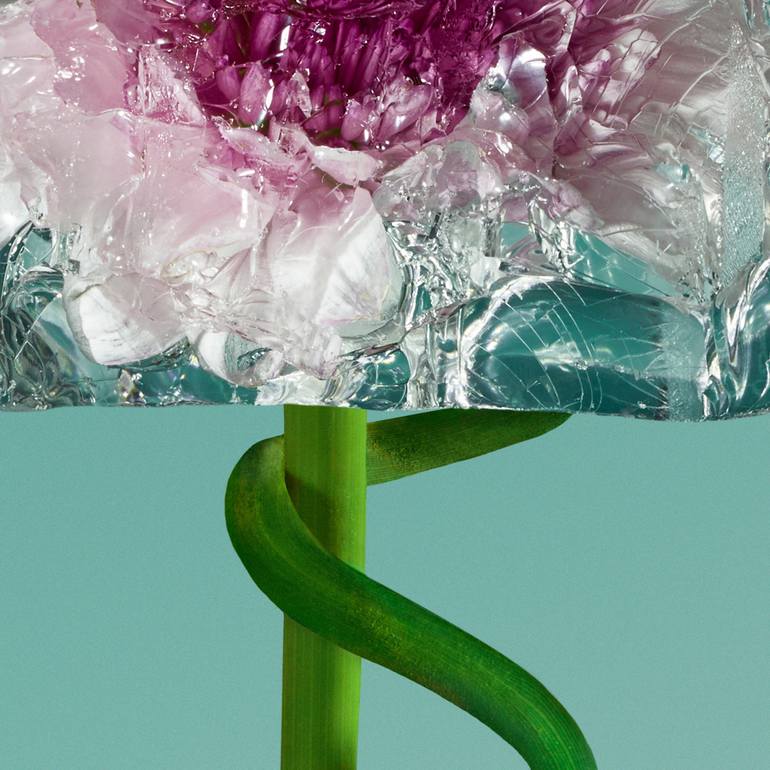 Original Conceptual Floral Photography by Paloma Rincón Rodriguez