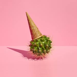 Collection Art of Your Dreams: Fun