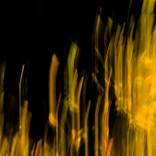 EVEIL DU PRINTEMPS # 02 - Limited Edition of 10 by JB PHOTOART