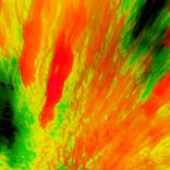 EVEIL DU PRINTEMPS # 03 - Limited Edition of 5 by JB PHOTOART