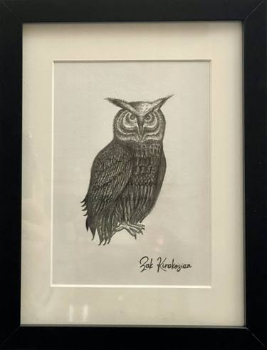 Owl Original Charcoal Drawing Framed 18x24cm by Zak Kirakosian thumb