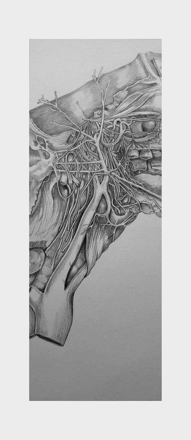 Original Realism Abstract Drawings by Emma Grice