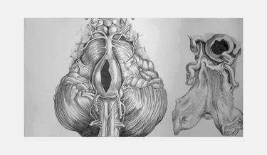 Original Realism Abstract Drawings by Emma Grice