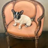 Collection Vintage Art Prints