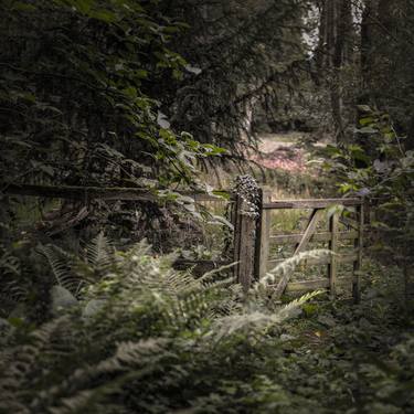 Wooded Gate, Limited Edition 5 of 50 thumb