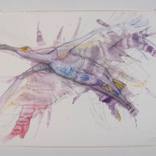 Spoonbill Study #3 by Cynthia Minet