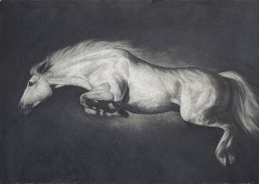Print of Figurative Horse Drawings by Paddy Lennon