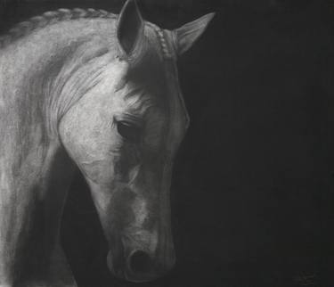 Print of Fine Art Horse Drawings by Paddy Lennon