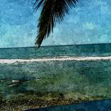 Collection Tropical Visions