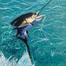 Sailfish hooked on a fishing line. However, the fishing line was omitted  and the fish appears to be jumping out the water freely, size 20 x 16 inches.