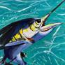 Sailfish hooked on a fishing line. However, the fishing line was omitted  and the fish appears to be jumping out the water freely, size 20 x 16 inches.