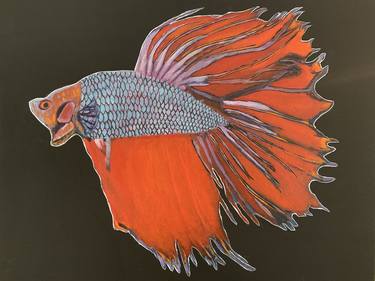 Print of Art Deco Fish Paintings by Aubier Torres