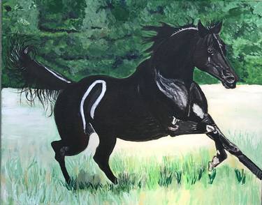 Original Fine Art Horse Paintings by Aubier Torres