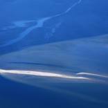 All Blues - Edition 6 of 35 by Alex Ferrone