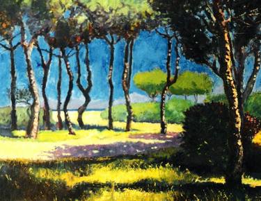Original Impressionism Nature Paintings by Peter Clarke