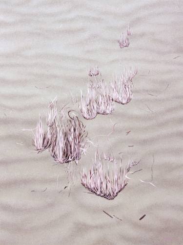 Unnoticed pale pink seagrass tuft, Impression of a beach walk (5) thumb